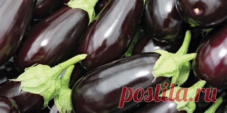 Выращивание баклажанов и перца. Распространенные ошибки