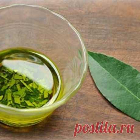 Масло лаврового листа - простое и эффективное средство готовим сами! - МирТесен