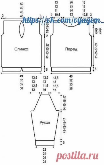 Back Decolletage Beautiful Blouse