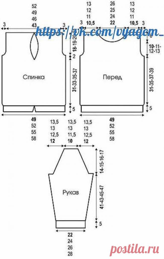 Back Decolletage Beautiful Blouse