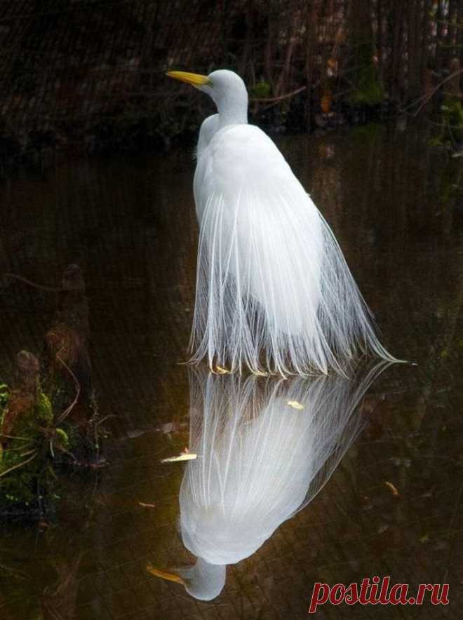 (1) Мой Мир@Mail.Ru