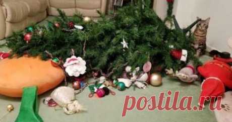 Фото-приколы в канун Нового года (31 шт) . Тут забавно !!!