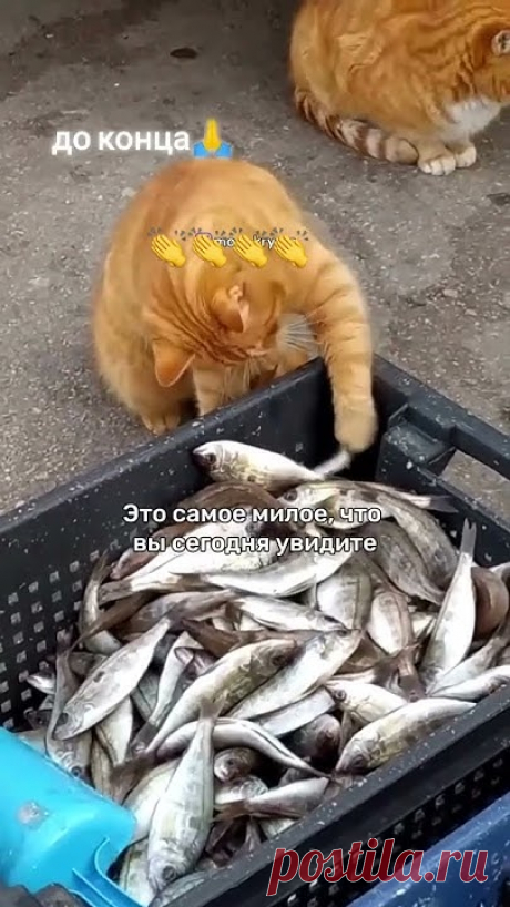 Ну что тут сказать )