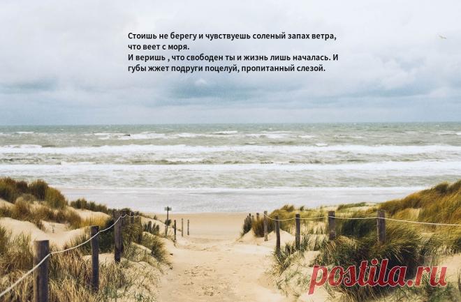 — Стоишь на берегу и чувствуешь солёный запах ветра, что веет с моря. И веришь, что свободен ты, и жизнь лишь началась. И губы жжет подруги поцелуй, пропитанный слезой. — Я не был на море… — Ладно, не залива: 3 тыс изображений найдено в Яндекс.Картинках