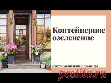 Контейнерное озеленение многолетними растениями.