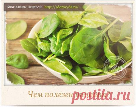 Чем полезен шпинат для нашего здоровья и красоты?
