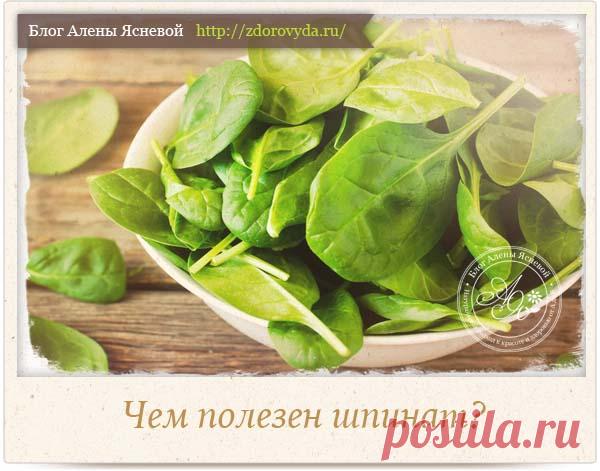 Чем полезен шпинат для нашего здоровья и красоты?