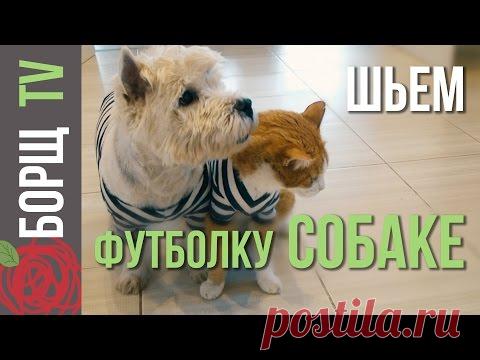 Одежда для собак из старых вещей | Как сшить одежду для собак своими руками