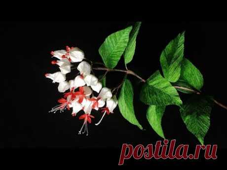 ABC TV | How To Make Bleeding Heart Vine Paper Flower - Craft Tutorial