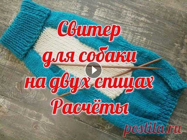 Свитер для собаки  на двух спицах, Расчёты Как связать самый простой и удобный свитер для собаки и кошки на двух спицах, для начинающих и не только В этой части видео будем делать расчет и расп...