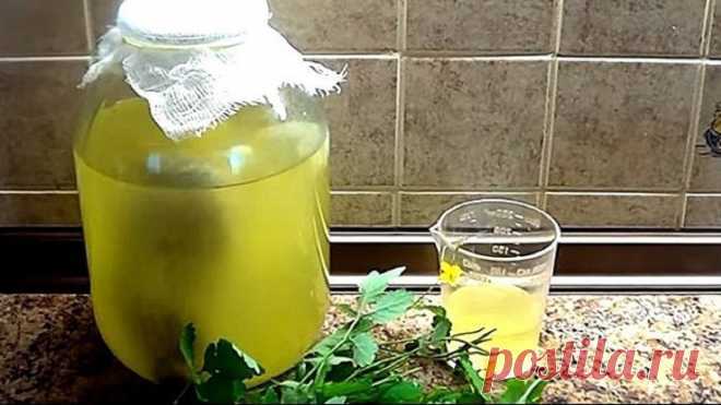 КВАС БОЛОТОВА С ЧИСТОТЕЛОМ

Квас Болотова с чистотелом получен в результате ферментации растения с помощью молочной сыворотки и сахара.
Его метод оздоровления и лечения основан на помощи сильных бактерий. Исследователь разводил молочно-кислые бактерии в среде, куда помещалось лекарственное растение, например чистотел.

Поскольку в чистотеле содержатся ядовитые алкалоиды, в этой среде выживали только сильные бактерии. Размножаясь, соединяясь с ферментами молочной сыворотки,...