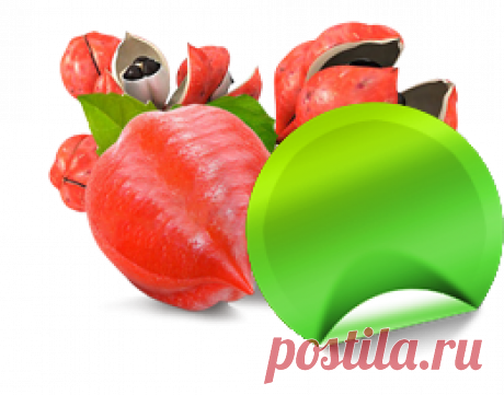 Спрей для похудения Fito Spray