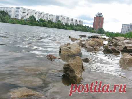 Денис Бастраков