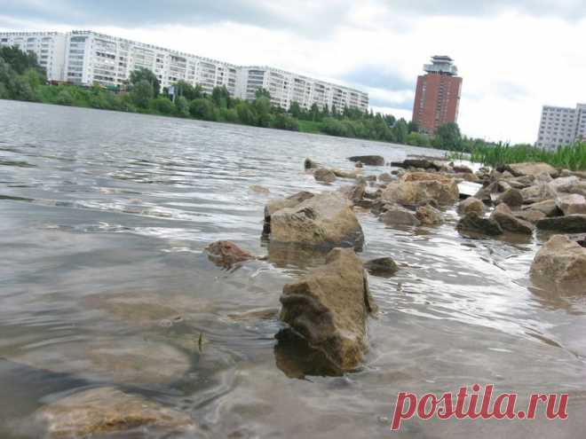 Денис Бастраков