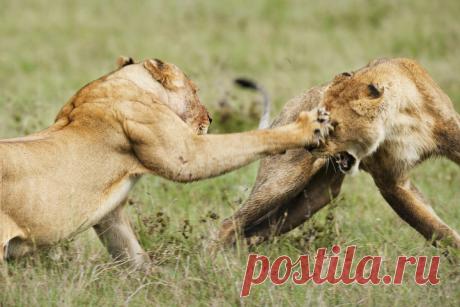 “И не друг, и не враг, а так”: самые опасные друзья по знаку зодиака