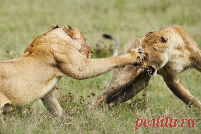 “И не друг, и не враг, а так”: самые опасные друзья по знаку зодиака