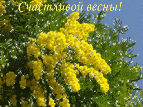 Света Ротарь