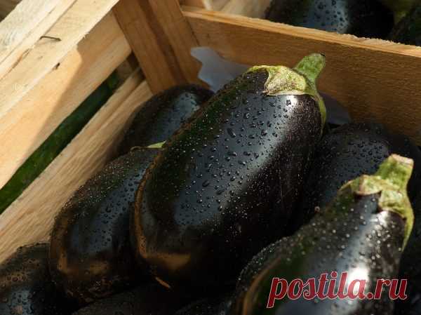 Продукты, которые заменяют хлеб и несут пользу для здоровья