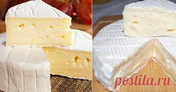 Сыр бри и камамбер: в чём разница - Со вкусом -  Лишь немногие из нас могут с ходу отличить настоящий сыр от подделки, не говоря уже о таких схожих продуктах, как бри и камамбер. Оба вида мягкого сыра сделаны из коровьего молока, имеют схожий состав и покрыты белой плесенью. И всё же существует несколько важных различий между этими французскими