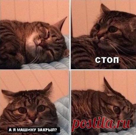 Услышано у Водителей