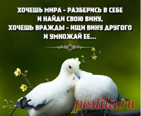 Андрей Федорчук