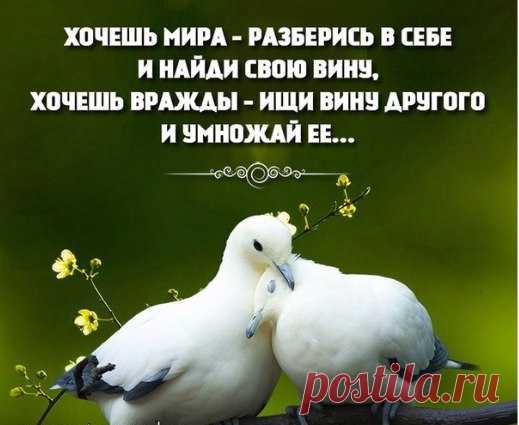Андрей Федорчук
