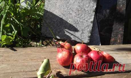 Правила виноделов, или Сидр, как способ борьбы с осенним яблочным засильем