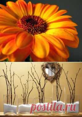 Эко-декор: 35 идей декора из веток для дома | Самоцветик