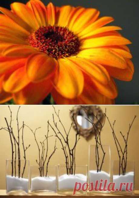 Эко-декор: 35 идей декора из веток для дома | Самоцветик