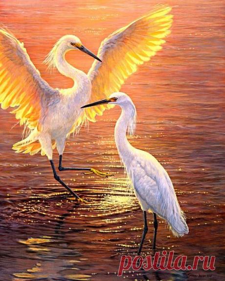 Размер 40х50. Птицы - лебеди, сойки, попугаи, павлины, синички, совы и т.д. - Картина по номерам на холсте 40х50 &quot;Цапли&quot;. Марка: &quot;PaintBoy&quot; (КНР). Артикул: GX8524