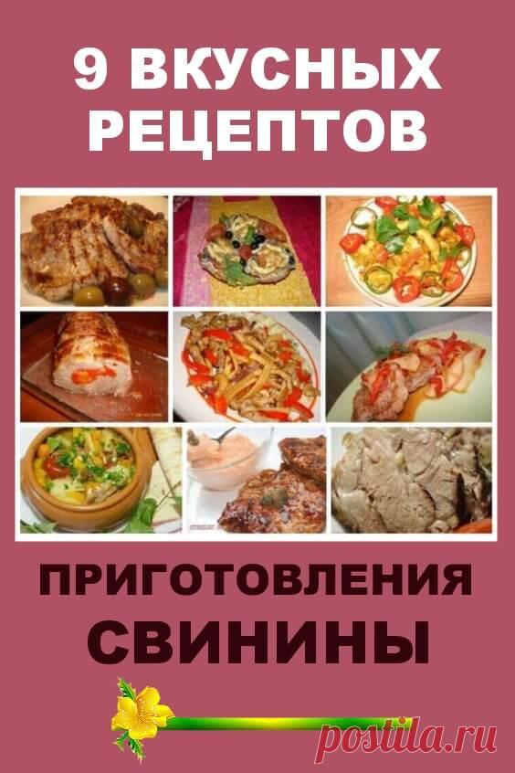 9 вкусных рецептов приготовления свинины