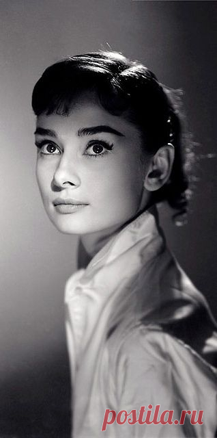 Audrey Hepburn | Audrey