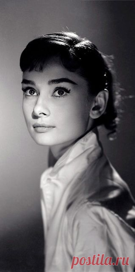 Audrey Hepburn | Audrey