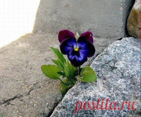 Все самое интересное