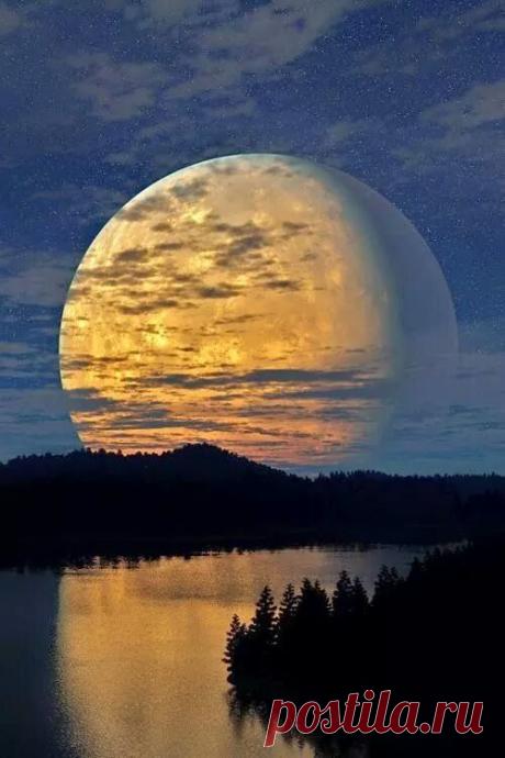 ** Phenomena**
