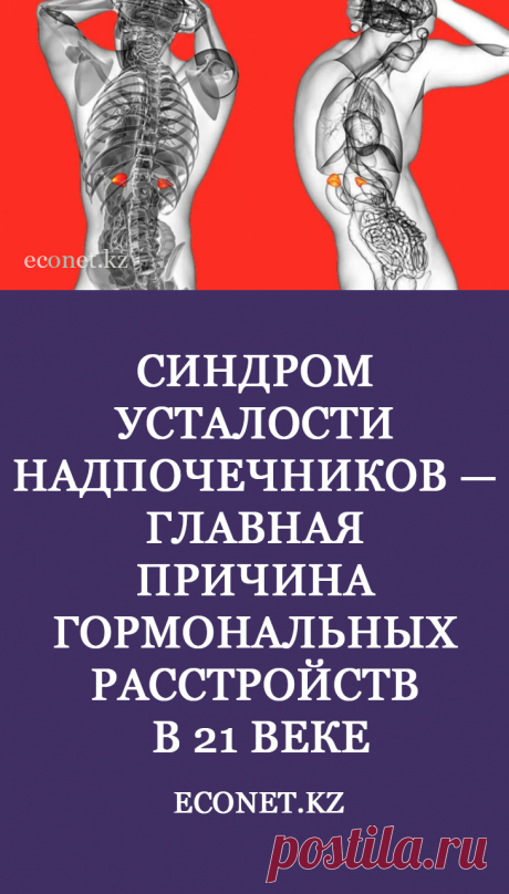 Надпочечниками называются миниатюрные железы, расположенные над верхней частью почек. Они вырабатывают более 50 гормонов, регулирующих половую функцию, набор веса, эмоциональное состояние человека. Это важная часть эндокринной системы, влияющая на общее самочувствие и здоровье.