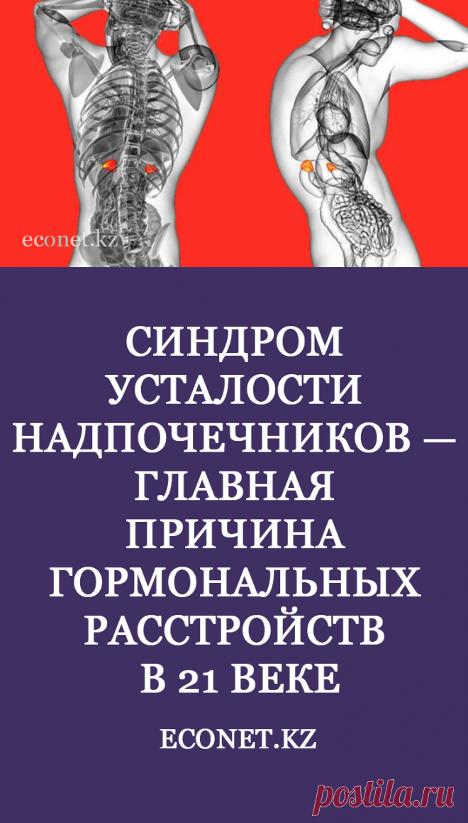 Надпочечниками называются миниатюрные железы, расположенные над верхней частью почек. Они вырабатывают более 50 гормонов, регулирующих половую функцию, набор веса, эмоциональное состояние человека. Это важная часть эндокринной системы, влияющая на общее самочувствие и здоровье.