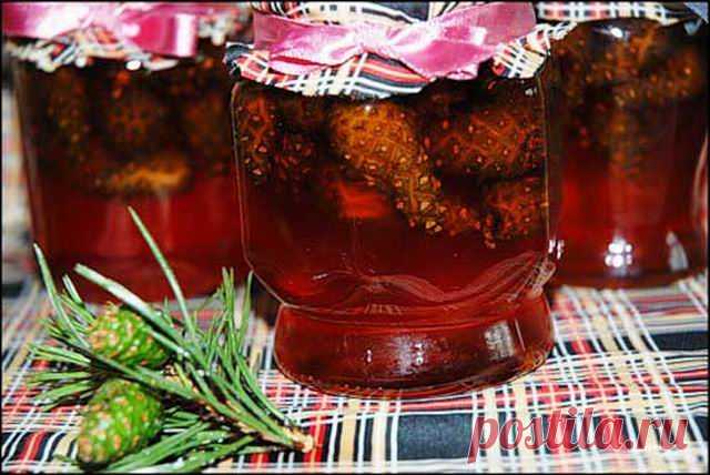 Сосновый мёд - целебное народное средство » Женский Мир