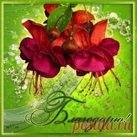 0_d2fb4_533b2506_orig (608×608)