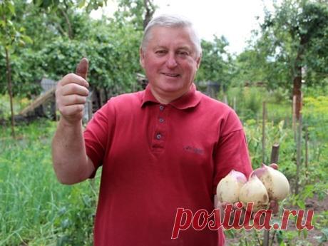 (83) Одноклассники