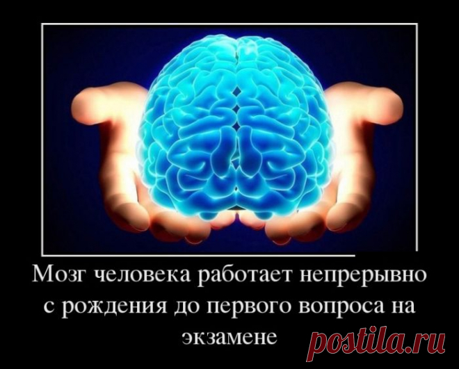 Ржачные и забавные демотиваторы со смыслом