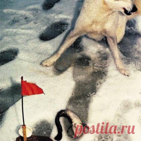 Приключения на льду