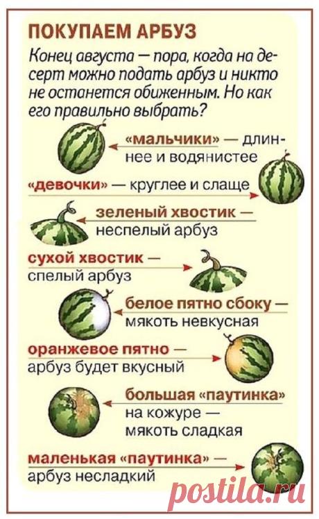 Фото 935592315411 из альбома ПРОШУ К СТОЛУ!. Разместила Ирина Н в ОК