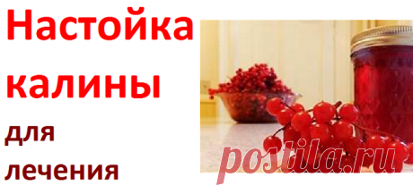Применение настоек калины | Советы целительницы