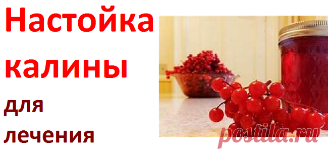 Применение настоек калины | Советы целительницы