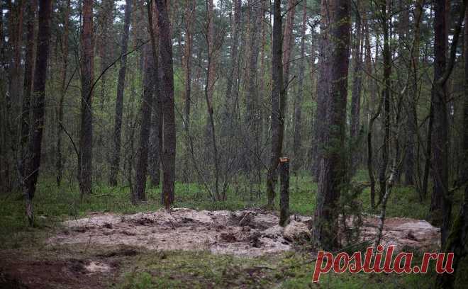 RMF24 сообщило о возможной принадлежности упавшей в Польше ракеты. Фрагмент ракеты был обнаружен примерно в 15 км от города Быдгощ. Сначала Минобороны сообщило, что речь идет о «неопознанном военном объекте». По данным радио RMF24, это ракета класса «воздух — земля» без боеголовки
