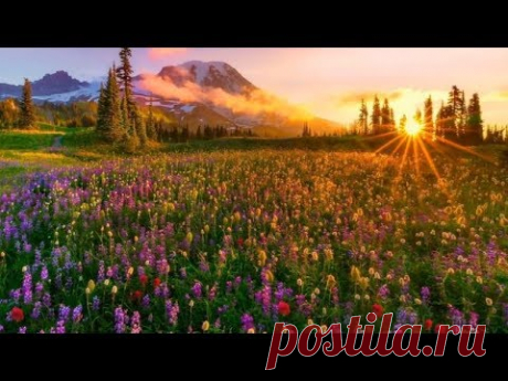 Richard Clayderman  - Dreams