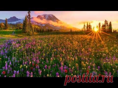 Richard Clayderman  - Dreams