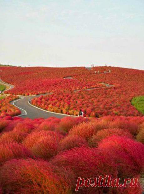 10 прекраснейших мест, в которых сложно узнать Россию | ДОСТОЙНАЯ ЖИЗНЬ НА ПЕНСИИ