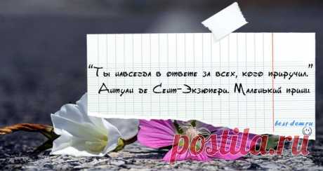 Цитаты Антуан де Сент-Экзюпери....
